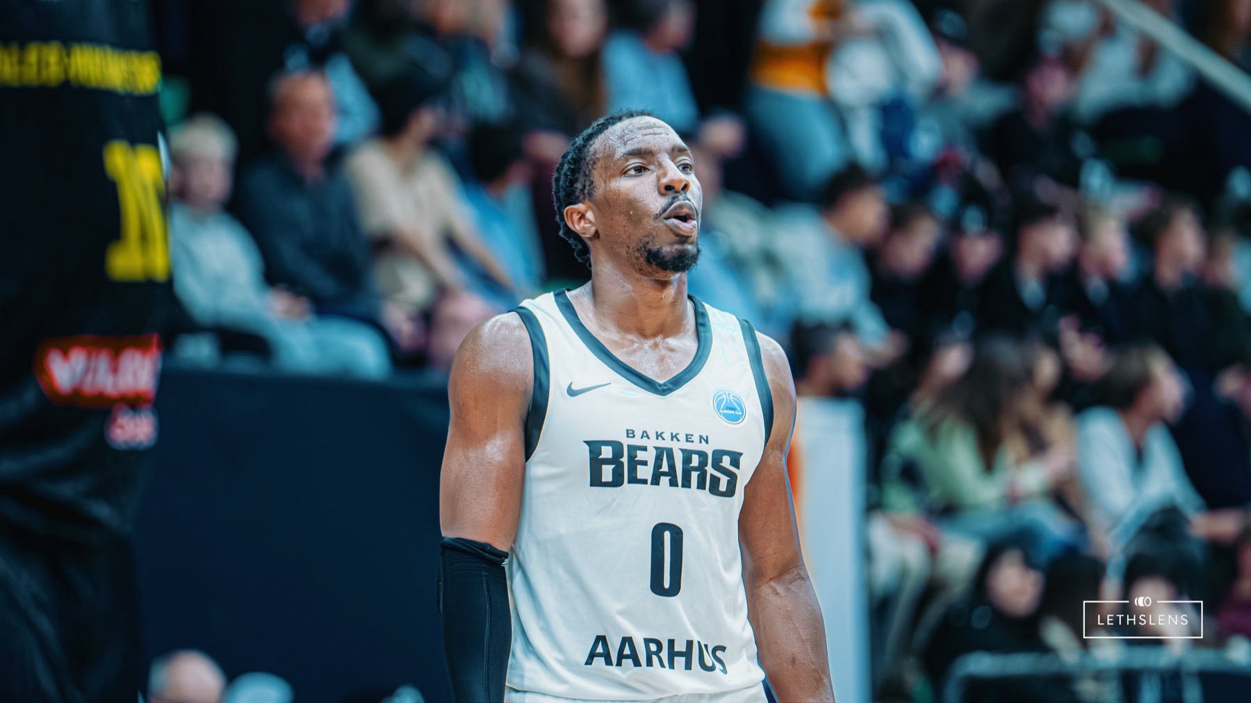 Bakken Bears